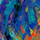 Illustration for article titled Researchers Are Scanning Forests With Lasers to Monitor Their Health